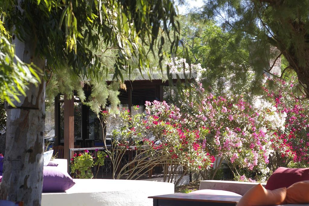 Arriba Pension & Restaurant Gümüşlük Exterior foto