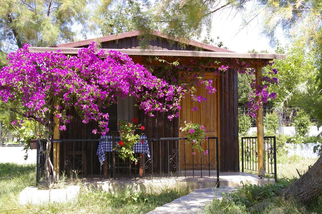 Arriba Pension & Restaurant Gümüşlük Exterior foto