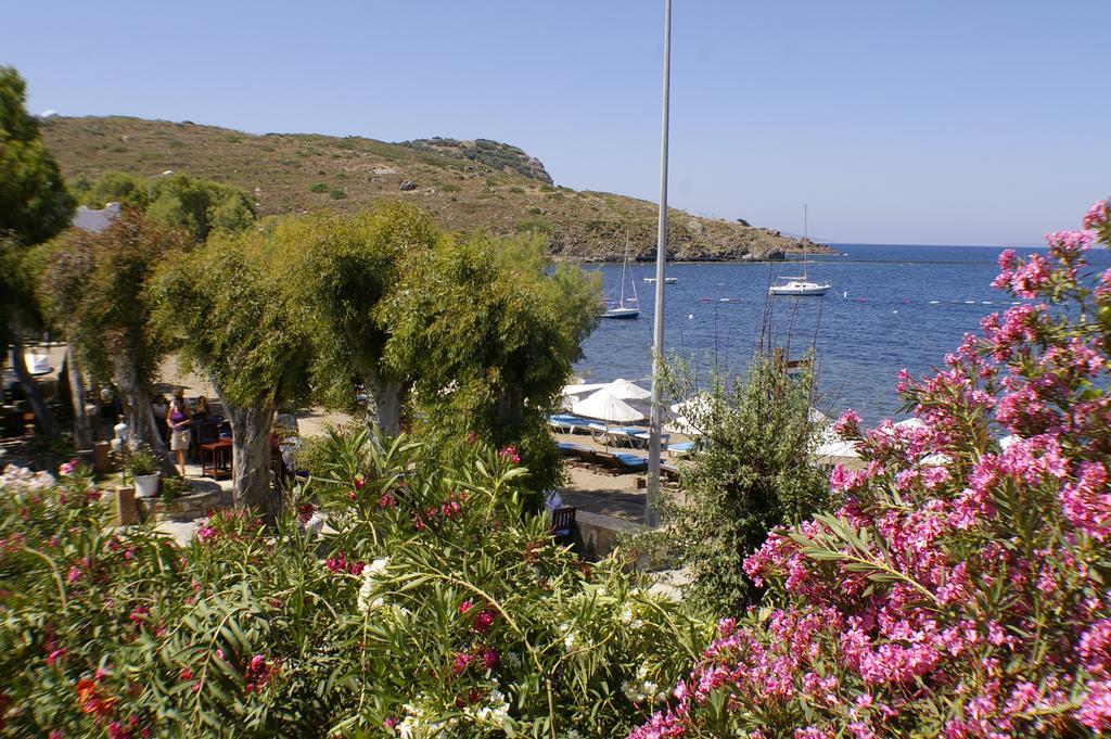 Arriba Pension & Restaurant Gümüşlük Exterior foto